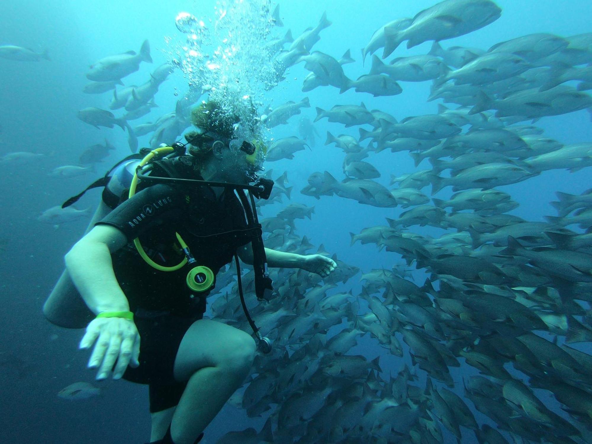 My Hostel In Dahab - Dive Center Екстериор снимка